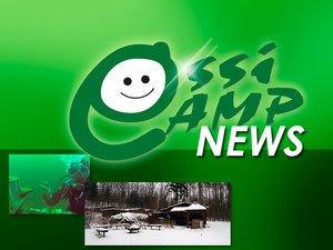 Ossicamp-news